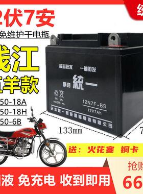 钱江五洋款QJ150-18A/H男士摩托车擎豹统一免维护电池12V7A干电瓶