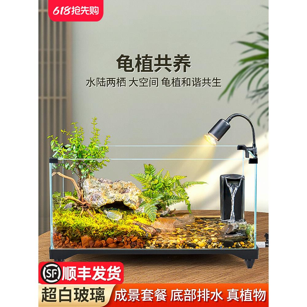 乌龟饲养缸生态造景家用玻璃缸小型别墅水陆两用养乌龟专用缸鱼缸
