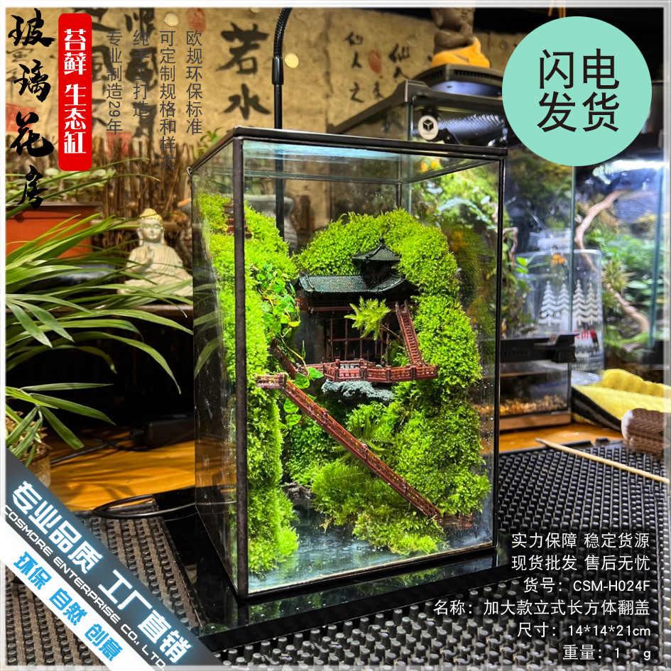 苔藓沉木微景观雨林缸生态瓶造景几何玻璃花房创意植物盆景长方