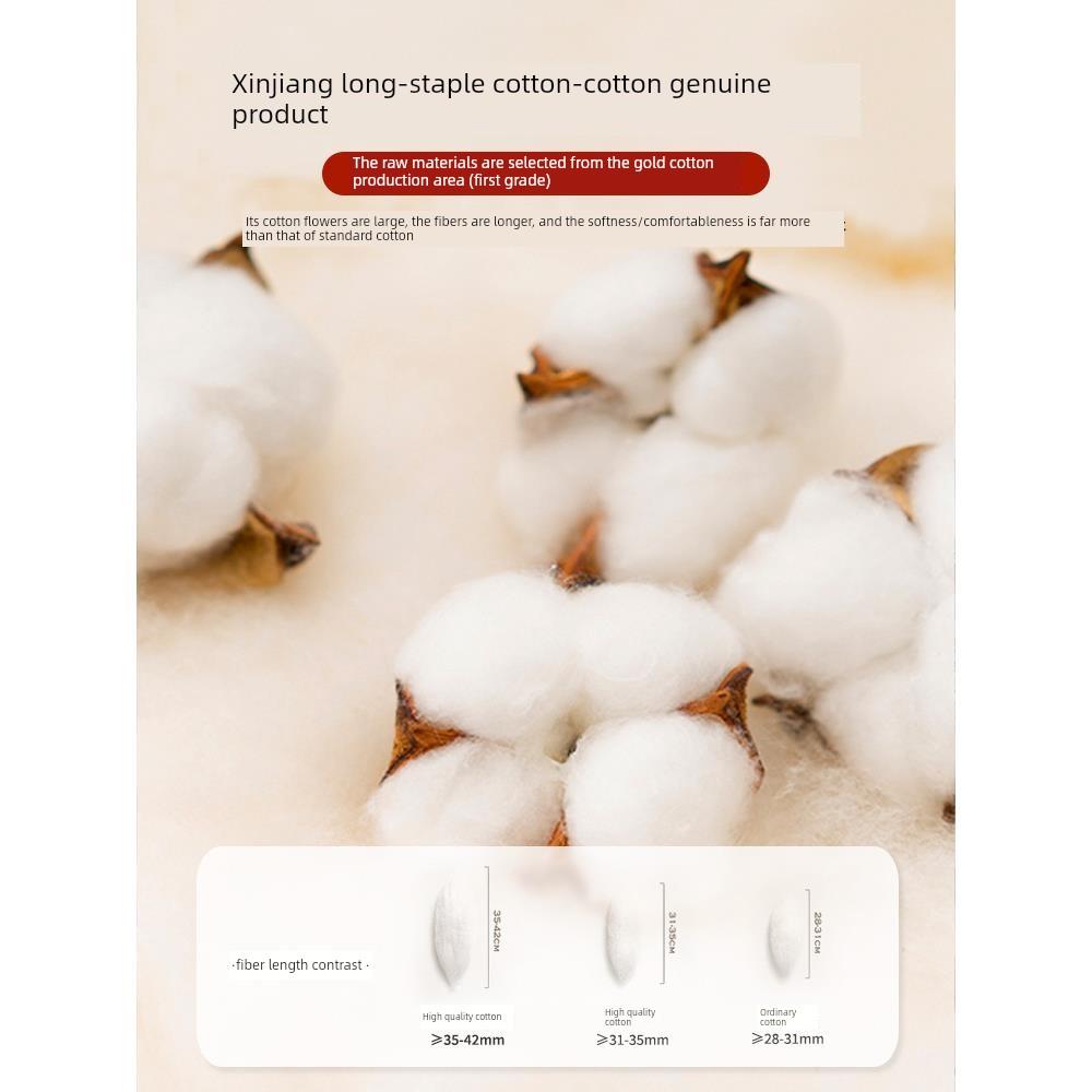 棉花床垫软垫家用卧室垫褥榻榻米垫子定制租房专用床褥垫褥子垫被