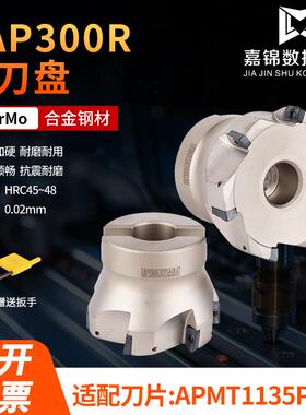 1135铣刀盘非标刀盘 BAP300R非标密齿 r0.8刀头加工中心90度飞面