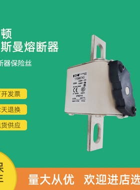 全新快速熔断器保险170M6961 170M6962 170M6963 170M6964