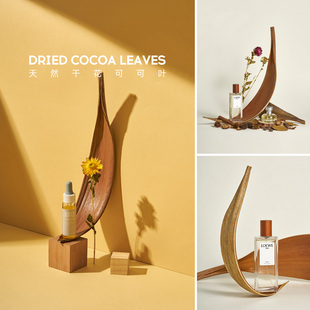 可可叶子天然植物拍摄道具摄影背景干花摆件产品静物主图化妆品饰品首饰产品拍照装饰高级感北欧风简约装饰品