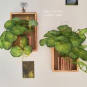 仿真植物壁挂花器墙面装 饰品客厅房间电视背景墙上绿植小挂件遮丑