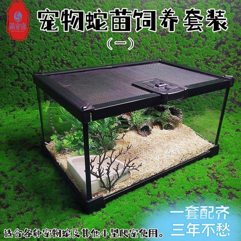 宠物蛇饲养套装爬虫箱雨林缸造景紫陆龟蝎蜥蜴守宫蛇苗繁殖保温箱,宠物/宠物食品及用品,爬宠缸/箱,淘宝优惠券,粉丝福利购,淘宝优惠卷