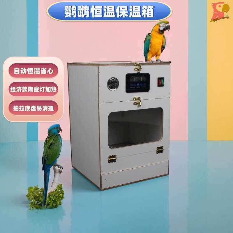 宠物鹦鹉鸟宝宝雏幼鸟保温箱恒温经济款,宠物/宠物食品及用品,鸟禽其他,淘宝优惠券,粉丝福利购,淘宝优惠卷
