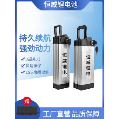 折叠电动自行车48v锂电池30ah代驾通用大容量银鱼海霸带提手电瓶