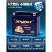 S350 光阳赛艇原厂XCITING CT300 CT250 S400摩托车电瓶电池 L300