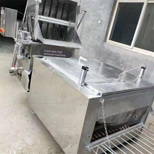 家禽大型屠宰机器杀鸡鸭鹅鸽兔全自动烫脱一体脱毛机商用流水线