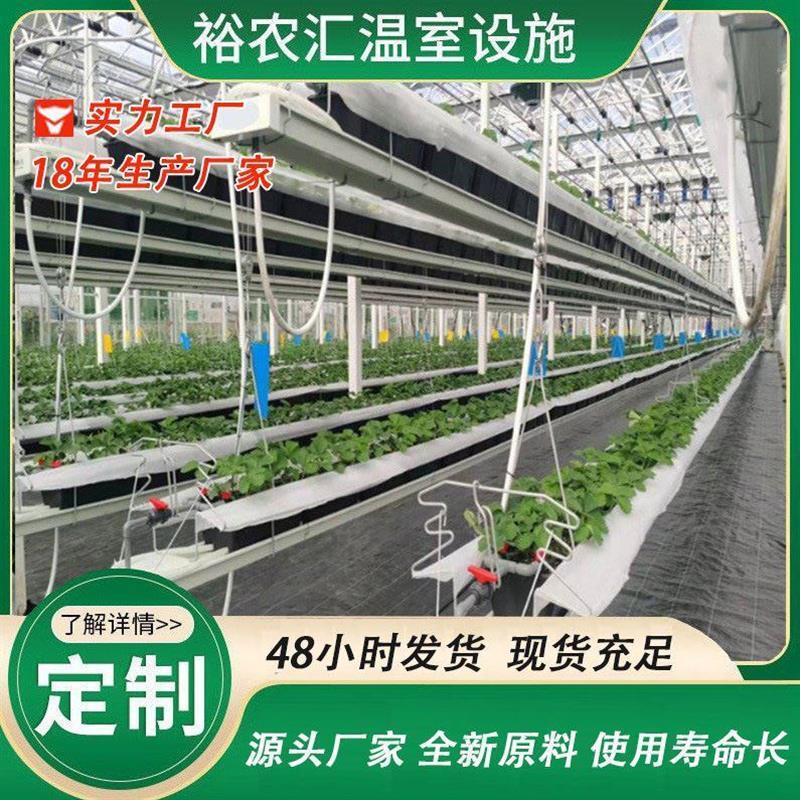 无土栽培 荷兰温室大棚 种植槽番茄大棚 立体吊挂式立体栽培槽