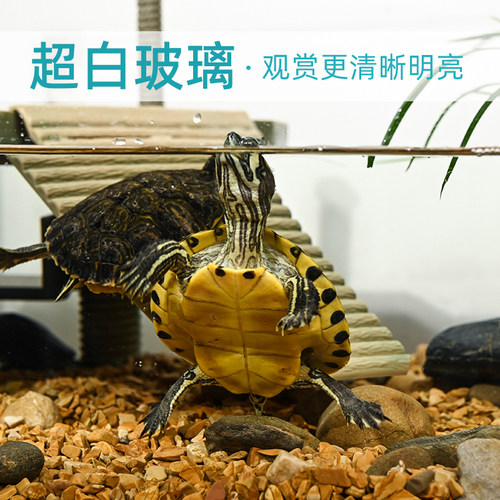 热销超白玻璃龟缸带晒台底部带排水麝香深水剃刀龟专用缸过滤生态