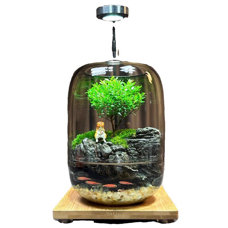 热销【年年有鱼】创意苔藓微景观办公室生态缸鱼缸桌面生态瓶摆件