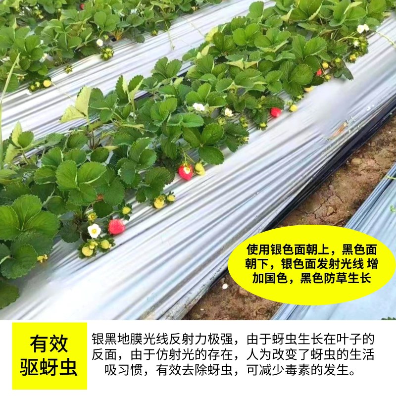 热销双色银黑地膜农用有孔地膜果树园保温反光大棚薄膜银灰色保湿