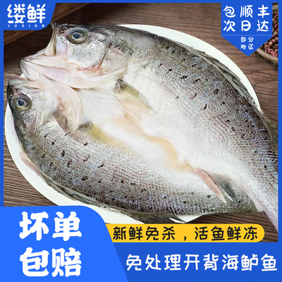 开背海鲈鱼新鲜冷冻鲈鱼半成品