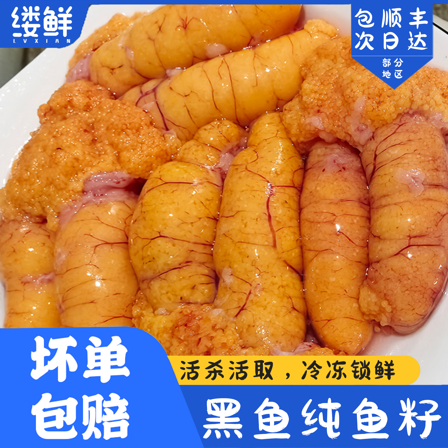鱼籽鲜活冷冻超大鱼籽