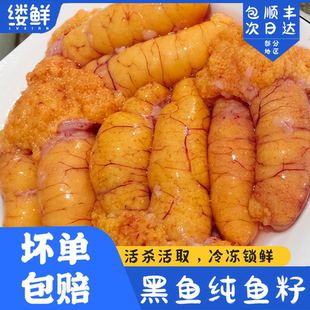 鱼籽新鲜黑鱼籽清江鱼籽冷冻鲜活超大鱼子鱼卵海鲜水产半成品火锅