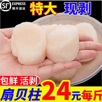 扇贝柱原浆活剥新鲜冷冻