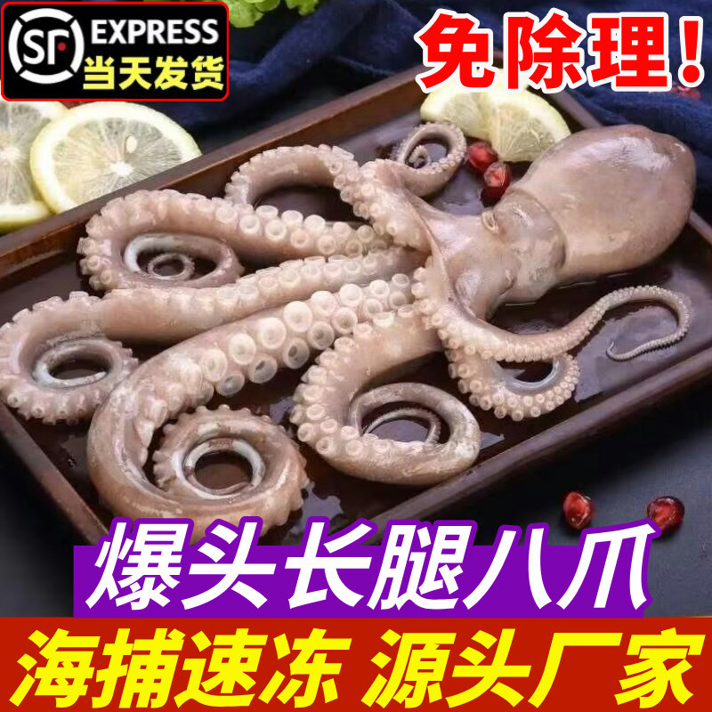 超大长腿八爪鱼新鲜活大章鱼冷冻海鲜水产生鲜整只网红大爆头商用