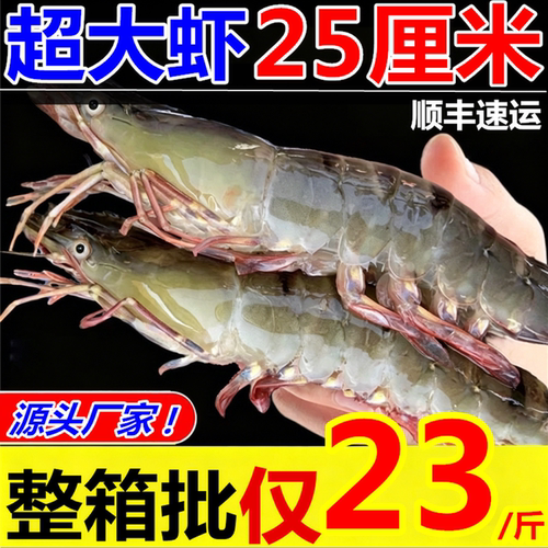 鲜活速冻超大白虾对虾
