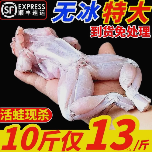 浪太郎牛蛙免处理烧烤食材冷冻