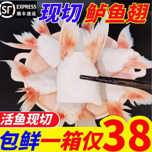新鲜冷冻鱼翅250g一包