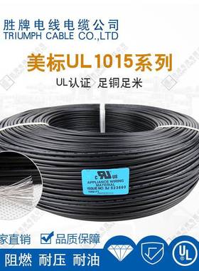 胜A牌美标UL1015-14W接G 电 器内部连线镀锡铜软线 VW-1阻燃 BFX