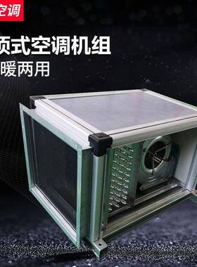 工厂吊顶式空流调机组 组合 式新风机酒店机恒湿恒温远程射空空调