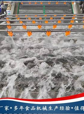 金皇SY-QX400菊花 泡洗货机 玫气瑰花连续清洗设备丝中药茶饮原料