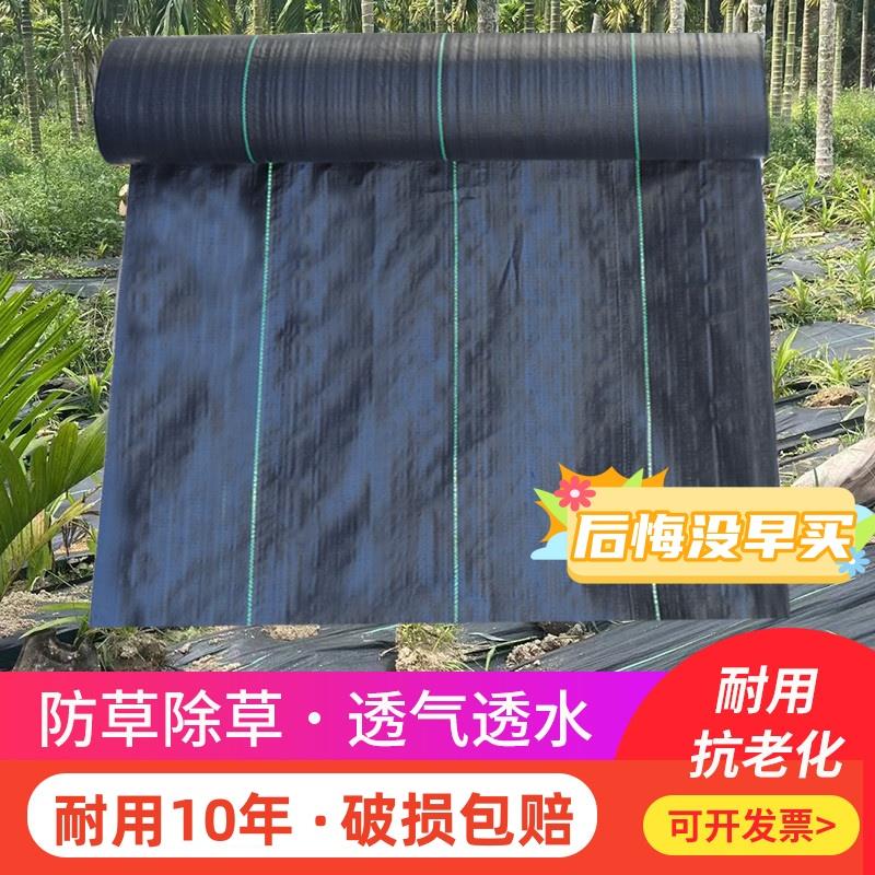 防草布除草布农用果树果园耐用地布地膜塑料地钉盖草布透水抗老化