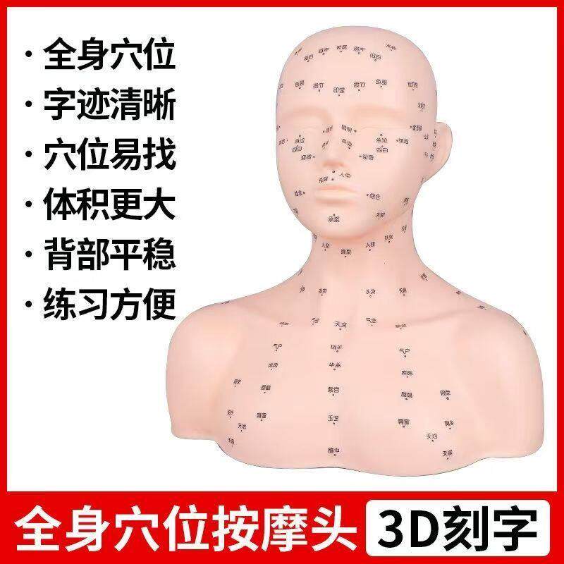 皮肤管理头模学美容假人头头部模型美容模特头脸部按摩光头带肩膀