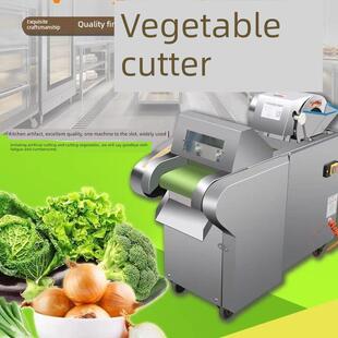 6601000型全自动电动蔬菜切割机商用食堂蔬菜切割机切碎切片切丁