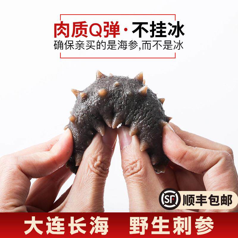特大9年大连即食海参辽参500g单个独立装长海县野生刺参顺丰包邮