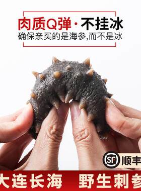 特大9年大连即食海参辽参500g单个独立装长海县野生刺参顺丰包邮