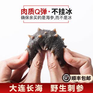 特大9年大连即食海参辽参500g单个独立装长海县野生刺参顺丰包邮