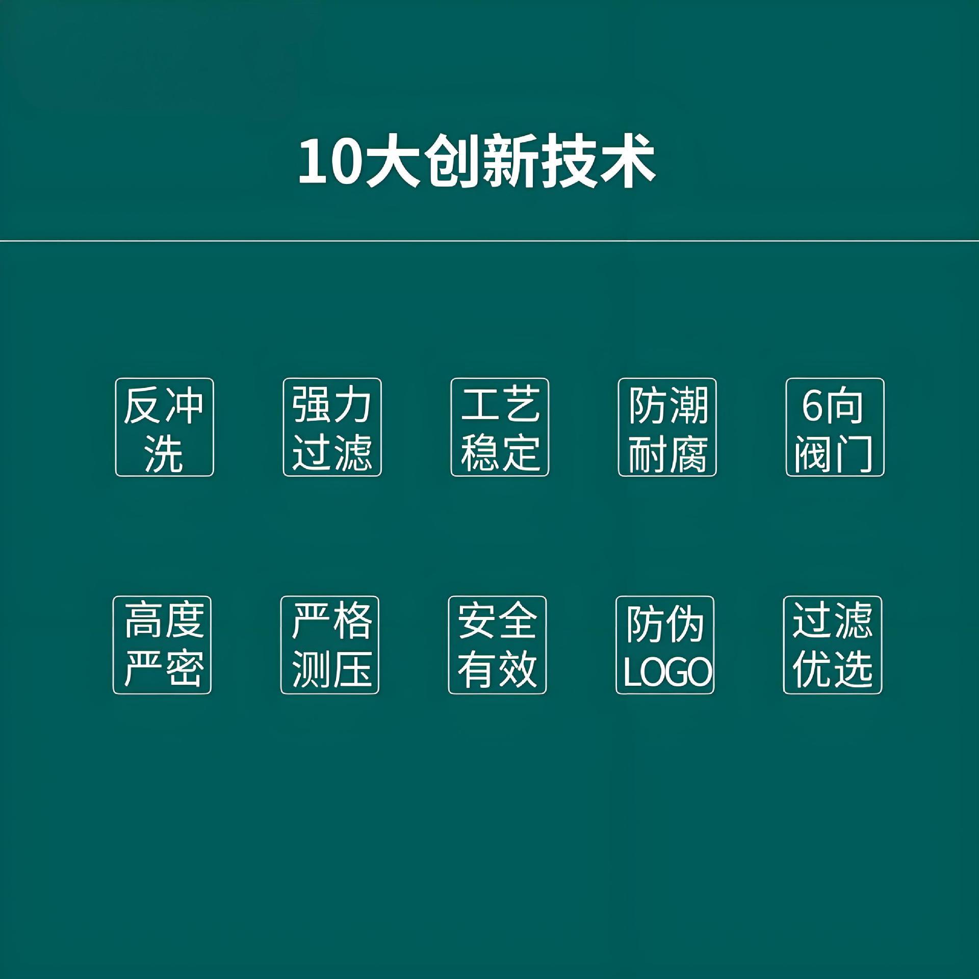 不锈钢314/316沙缸过滤器顶侧式石英砂泳池水循环系统环砂缸净化