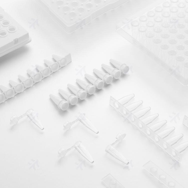 Virya 0.1ml PCR 8联排管孔型平盖白色管,125支/包,10包/箱