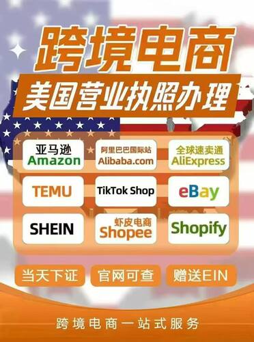 美国执照跨境电商TK本土店ACCU 本土希音自运营代入驻