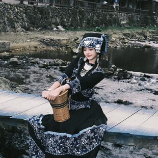 新款布依族贵州苗族苗疆少女成人服饰少数民族显身材舞蹈演出女装