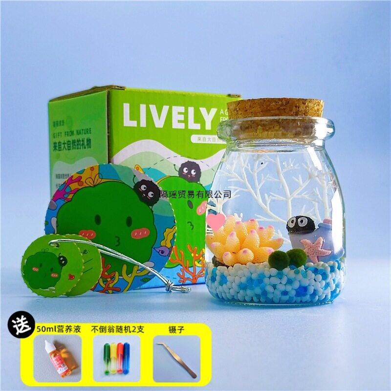 包邮海藻球微景观生态水培球藻创意迷你植物桌面玻璃盆栽礼物
