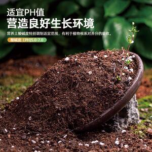 思威博轻质营养土养花专用土有机肥料泥炭椰糠精配营养通用土壤