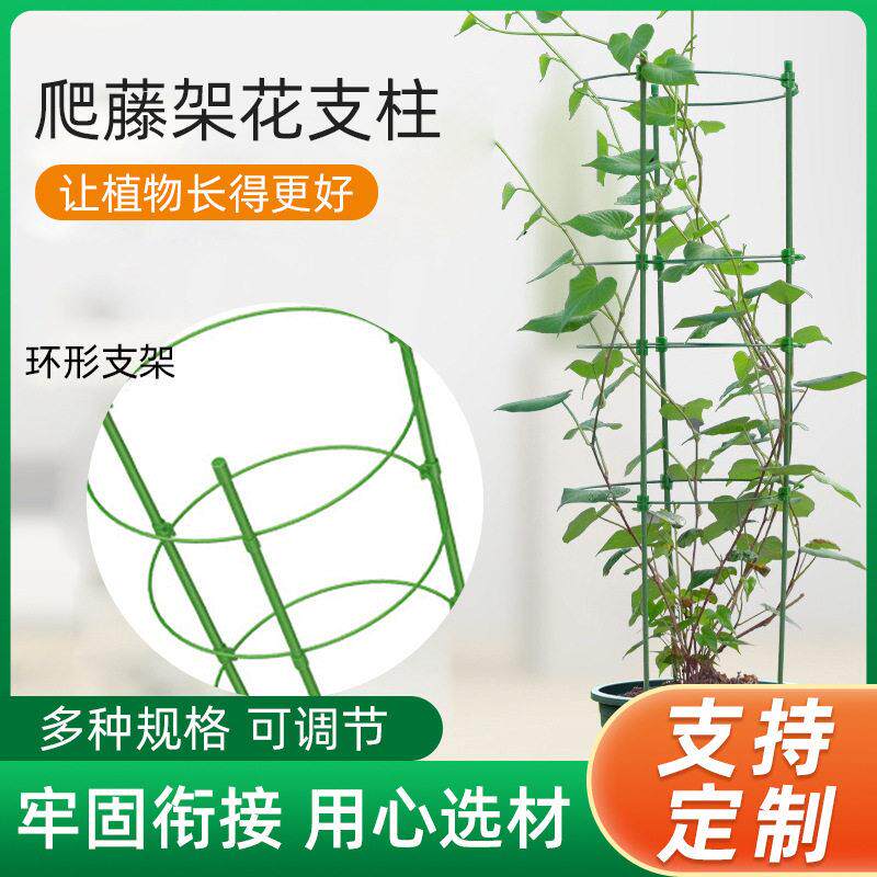 跨境爬藤架园艺用品爬藤花架植物专用支撑杆户外花支柱支架