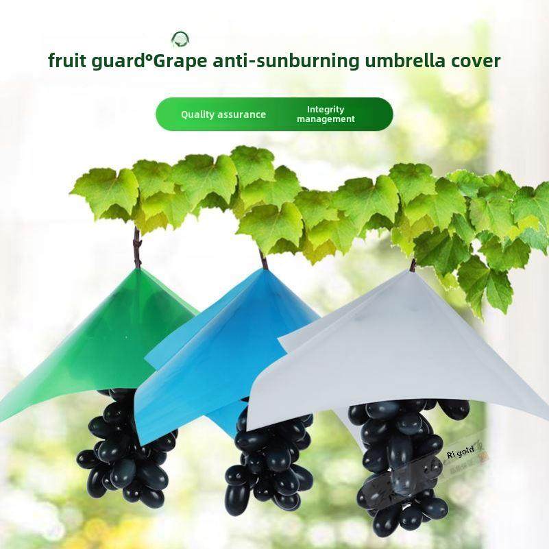 葡萄袋纸袋葡萄防吱吱伞套阳光玫瑰防水伞夏季黑色防晒伞防鸟伞Ky,鲜花速递/花卉仿真/绿植园艺,其它园艺用品,淘宝优惠券,粉丝福利购,淘宝优惠卷