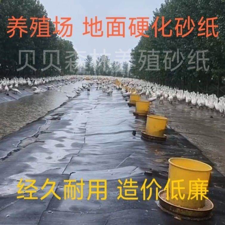 养殖砂纸养鸡鸭鹅铺垫地垫养殖场地面砂纸铺屋顶补漏防雨宠物地垫