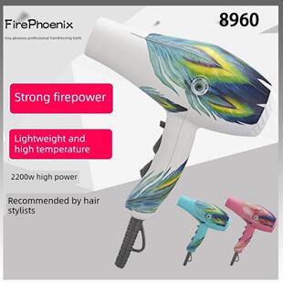 火之凤8960吹风机发廊专用大功率理发店静音2200w专业造型大风力