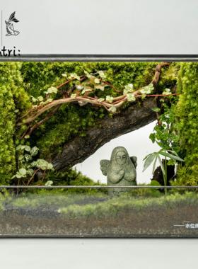 《Bamtri：Terrarium》塞尔达海利亚桌面苔藓微景观直角缸植物摆