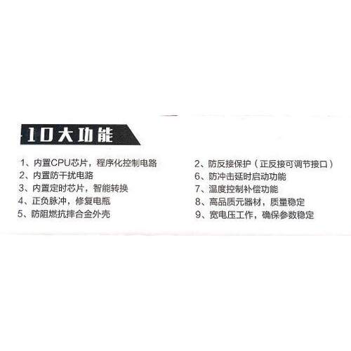 工程工地电动翻斗车手推电瓶车智能养护充电器48V20A