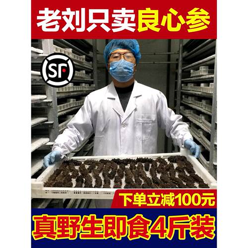老刘6-8年野生即食海参 辽参刺参 大连海参4斤装 包邮 非淡干