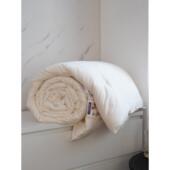 高端A类大豆纤维被冬被春秋被夏季 薄款 大豆被被子被芯秋冬被夏被