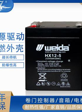 电动卷闸门卷帘门12V5AH拉杆音响安防24V控制器备专用蓄电池电瓶