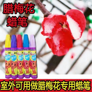 diy材料捏蜡做腊梅花的蜡笔蜡花块颜料蜡笔蜂蜡油画棒蜡笔记号笔